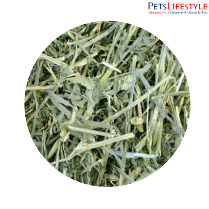 OXBOW Alfalfa Hay 425g – High-Protein Premium Hay for Growing Small Pets