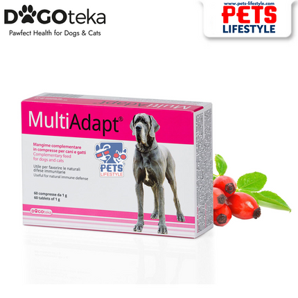 Dogoteka MultiAdapt – Advanced Multivitamin & Energy Support Pets
