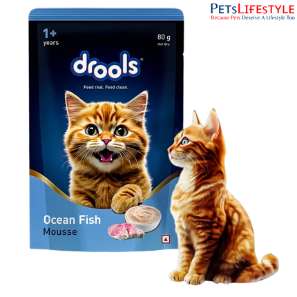 Drools Cat Mousse Ocean Fish Wet Cat Food 80g High Protein Smooth Texture
