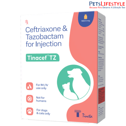 Tineta Tinacef-TZ Ceftriaxone & Tazobactam Injection for Dogs & Cats