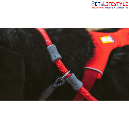 Ruffwear Just-a-Cinch Dog Leash | Reflective Slip Lead & Collar Combination for Dogs
