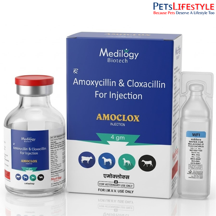 AMOCLOX Vet Injection Broad-Spectrum Veterinary Antibiotic for Bacterial Infections in Livestock