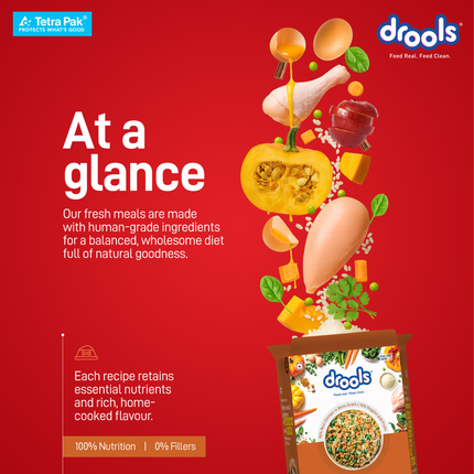 Drools Tetra Pack Real Chicken Pumpkin Wet Dog Food