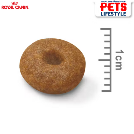 Royal Canin Maxi Breed Starter Puppy Food