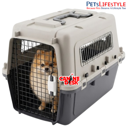 Canine Desk Flight Carrier (24" × 14" × 16") | IATA Approved Airline Travel Crate for Dogs & Cats (Medium)