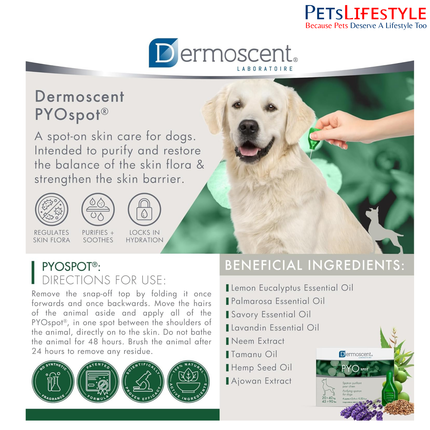 Savavet Dermoscent Pyospot Purifying Spot On for Dogs Between 20 to 40kg (2.4ml x 4 Pipette)