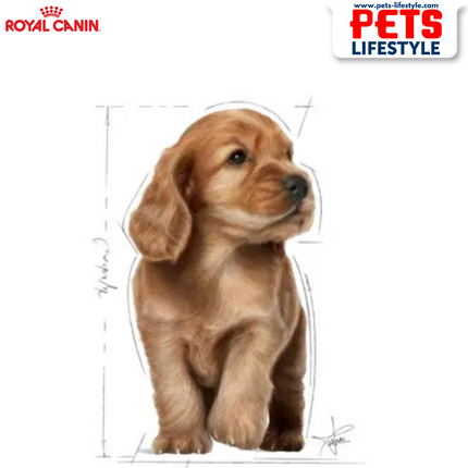 Royal Canin Cocker Junior Dry Dog Food