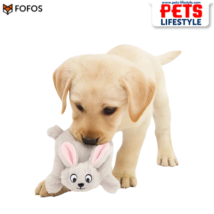 Barkbutler x Fofos Soft & Squeaky Rabbit Puppy Toy