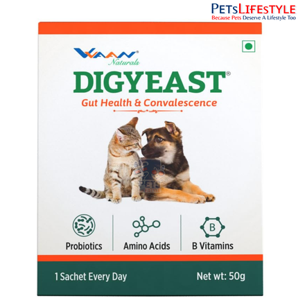 VVAAN Digyeast Pouch Gut Health & Anti-Stress Supplement for Dogs & Cats – 100% Natural Brewer's Yeast, 50 g (10 Sachets)