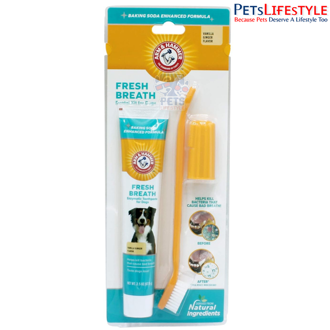 Arm & Hammer Fresh Breath Dental Kit for Dogs – Vanilla Ginger Flavor | Complete Dog Oral Care Kit (67.5 g)
