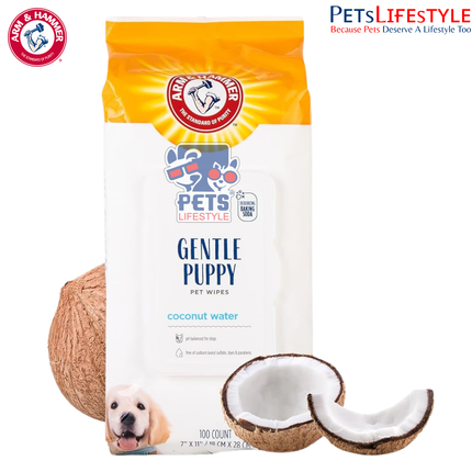 Arm & Hammer Dog Grooming Wipes with Coconut – Natural Deodorizing Pet Wipes (100 Count)