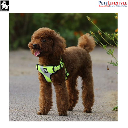Truelove Lightweight Oxford Dog Harness – 3M Reflective Step-In Chest Harness