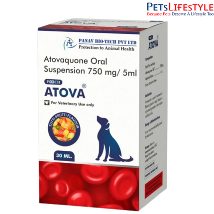 Pooch Atova Atovaquone Oral Suspension 750 mg/5 ml for Dogs Babesia Treatment