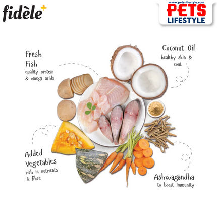 Fidele Fresh Chicken With Vegetables Dog Gravy Pouch 100 gm