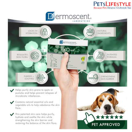 Savavet Dermoscent Pyospot Purifying Spot On for Dogs Between 10 to 20kg (1.2ml x 4 Pipette)