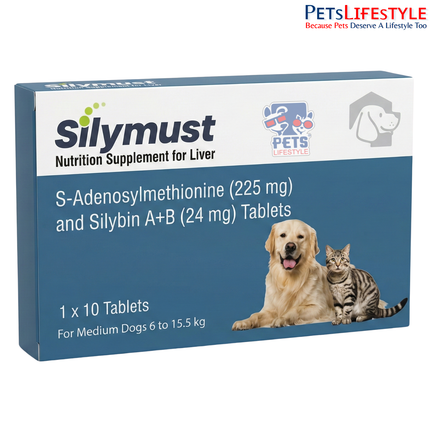 Silymust Liver Support Tablets for Medium Dogs (6–15.5 kg)