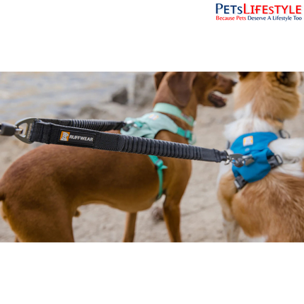 Ruffwear Double Track Coupler | Shock-Absorbing Two-Dog Leash Adapter