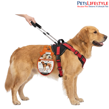 Patento Pet JOCKEY Padded Dog Harness with Integrated Leash | Reflective Soft Nylon Harness for Dogs