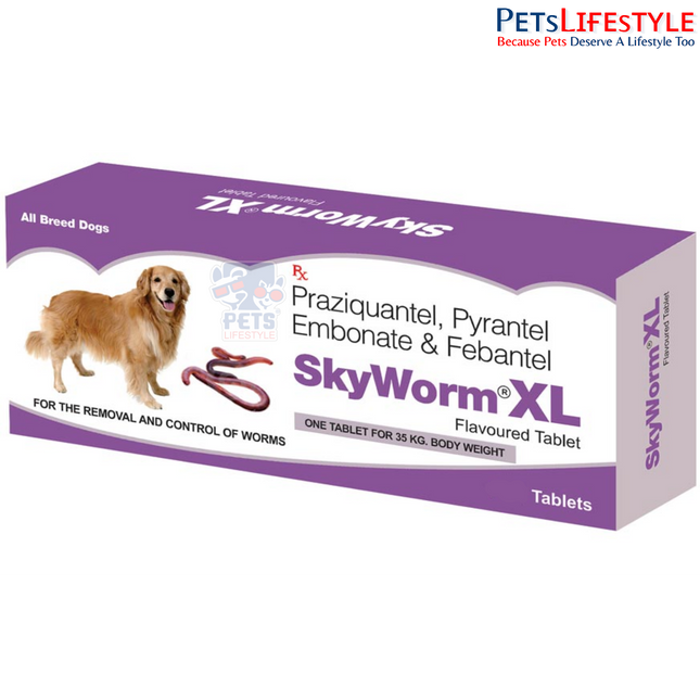 Skyec Skyworm XL Dog Deworming Tablet (pack of 2 tablets)