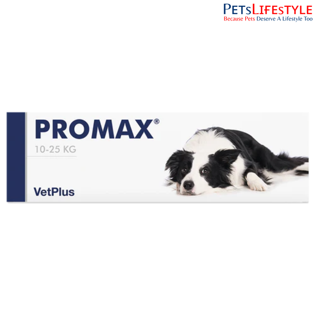 Vetplus Nutraceutical Supplement Promax for Dog (Medium Breed 18 ml) Digestive Probiotic Supplement