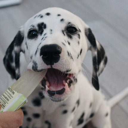 Woof & Brew Paw Pops Ready-to-Freeze Ice Pops for Dogs – Blueberry Flavour (6 Pack)