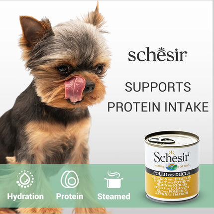 Schesir Chicken with Pumpkin Wet Food for Dogs, Real Meat Fillets in Jelly, Natural Protein-Rich Dog Food with Vegetables & Vitamins, 285 g (Chicken with Pumpkin)