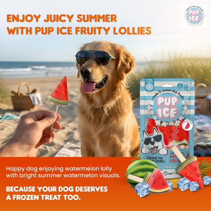 Pup Ice Ready to Freeze Fruity Lollies Dog Treats – Watermelon Flavour (90g)