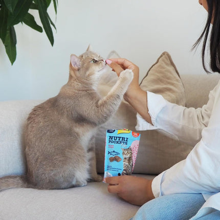 GimCat Nutri Pockets Fish Cat Treats (Salmon & Tuna Flavours) 60g