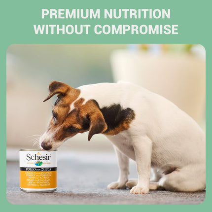 Schesir Chicken with Pumpkin Wet Food for Dogs, Real Meat Fillets in Jelly, Natural Protein-Rich Dog Food with Vegetables & Vitamins, 285 g (Chicken with Pumpkin)