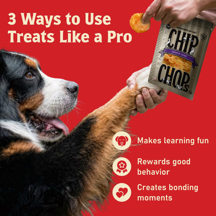 Chip Chops Chicken Chips Coins Dog Treats High Protein Dog Treats