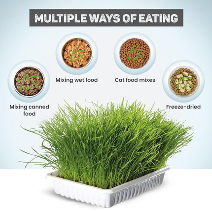 TRIXIE Cat Grass Seeds with Planter – Natural Digestive & Wellness Support for Cats