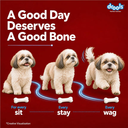 Drools Calcium Milk Bone Dog Treats – Blueberry Flavour | Calcium-Rich Dental Chews for Strong Bones & Healthy Teeth