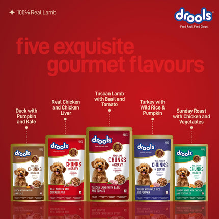 Drools Sunday Roast Chicken & Vegetables Gravy 120g (5+1 Pack)