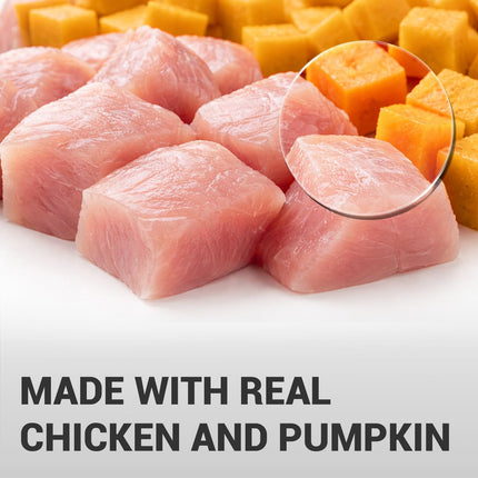 Schesir Chicken with Pumpkin Wet Food for Dogs, Real Meat Fillets in Jelly, Natural Protein-Rich Dog Food with Vegetables & Vitamins, 285 g (Chicken with Pumpkin)