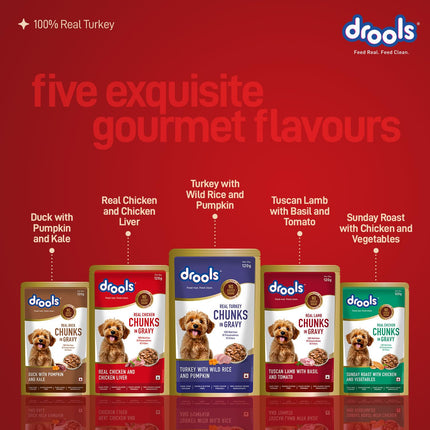 Drools Turkey with Wild Rice & Pumpkin Gravy 120g (5+1 Pack)