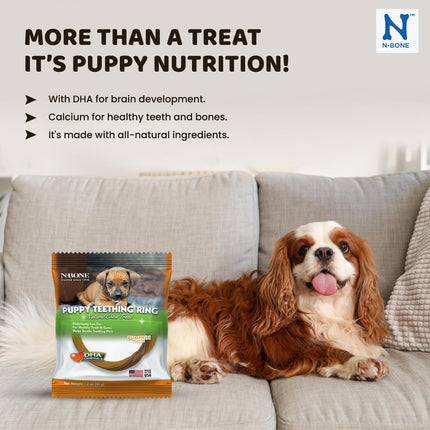 N-Bone Puppy Teething Ring Pumpkin Flavor – Soft Edible Puppy Teething Chew with DHA & Calcium | Low-Fat Dental Treat for Puppies