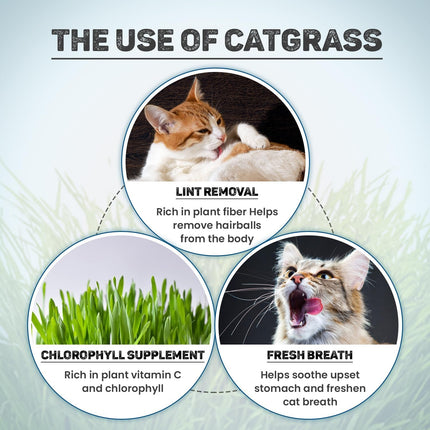 TRIXIE Cat Grass Seeds with Planter – Natural Digestive & Wellness Support for Cats