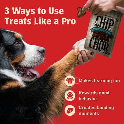 Chip Chops Barbeque Hearts Dog Treats 70gm
