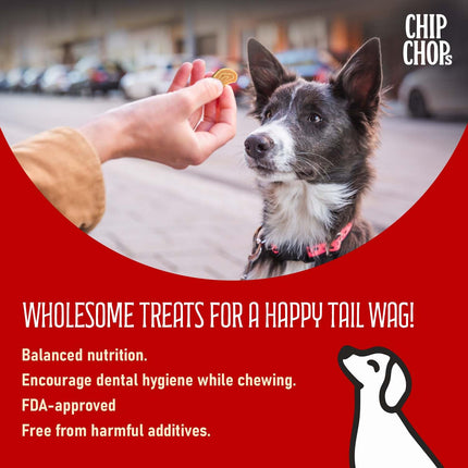 Chip Chops Chicken Codfish Rolls Dog Treats 70gm, High Protein Dog Snacks, Healthy Training Treats for Dogs, Suitable for All Breeds Puppies & Adult Dogs
