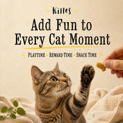 Kittos Cat Biscuits Salmon & Catnip Flavour 80g