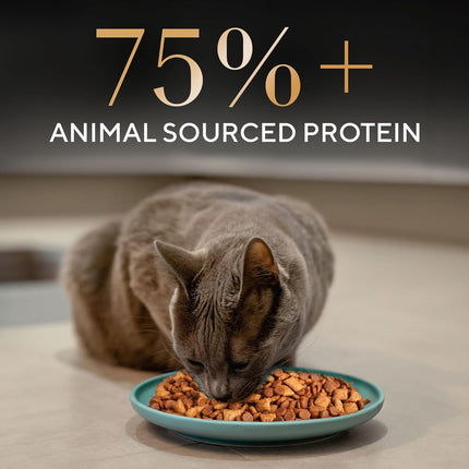 Sheba Chicken Flavour Irresistible All Life Stages Cat Dry Food
