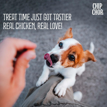 Chip Chops Chicken Codfish Rolls Dog Treats 70gm, High Protein Dog Snacks, Healthy Training Treats for Dogs, Suitable for All Breeds Puppies & Adult Dogs
