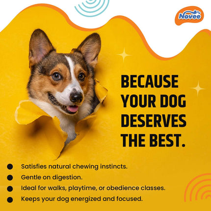 Novee Soft Chicken Jerky Sliced Dog Treats – High Protein Real Chicken Jerky | Soft & Tender Gluten-Free Training Treats for Dogs | 400g