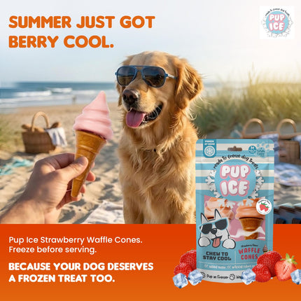 Pup Ice Ready to Freeze Waffle Cone Dog Treats – Strawberry Flavour (110g x 2)