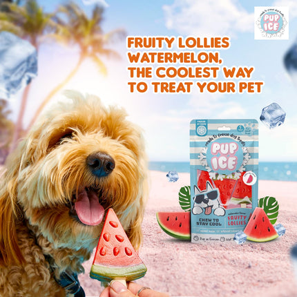 Pup Ice Ready to Freeze Fruity Lollies Dog Treats – Watermelon Flavour (90g)