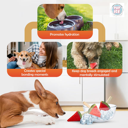 Pup Ice Ready to Freeze Fruity Lollies Dog Treats – Watermelon Flavour (90g)