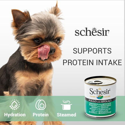 Schesir Chicken & Rice with Spinach Wet Food for Dogs – Real Chicken Fillets in Jelly | 285g