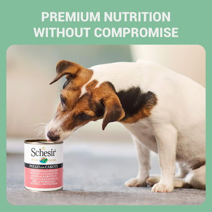 Schesir Chicken with Carrot Wet Food for Dogs, Real Meat Fillets in Jelly, Natural Protein-Rich Dog Food with Vegetables & Vitamins, 285 gm