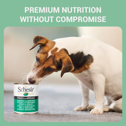 Schesir Chicken & Rice with Spinach Wet Food for Dogs – Real Chicken Fillets in Jelly | 285g