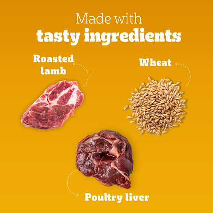 Pedigree Tasty Jerky Adult Dog Treat – Roasted Lamb Flavour | High-Protein, Low-Fat Soft Chewy Treat | 70 g